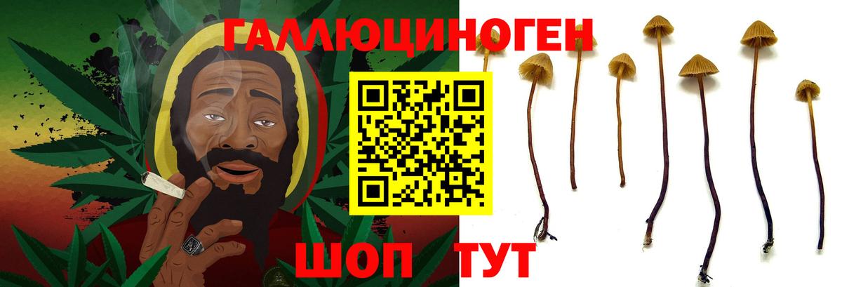 Углич  Галлюциногенные грибы Cubensis  Псилоцибиновые грибы Magic Shrooms  Вход с VPN 